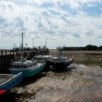 20120821_D7K_3849 (Day 16: Fundy Coastal Drive)