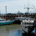20120821_D7K_3866 (Day 16: Fundy Coastal Drive)