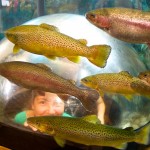 20120822_D7K_3991 (Day 17: Maine and the Big Boot)