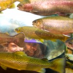 20120822_D7K_3992 (Day 17: Maine and the Big Boot)