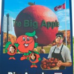 20120825_D7K_4299 (Day 20: Heading Home)