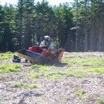 20120911_D7K_4492 (Down East)