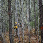 20121017_D7K_4911 (Fort Smith, NWT)