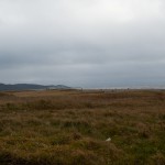 20121106_D7K_5095 (A Week On The Rock)