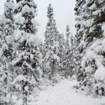 20121108_D7K_5164 (A Week On The Rock)