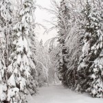 20121108_D7K_5189 (A Week On The Rock)