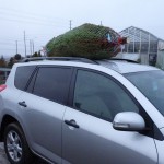 20121202_P1020178 (Two More Sleeps…)