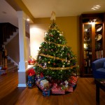 20121223_D7K_5495 (Two More Sleeps…)