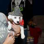 20121226_D7K_5574 (Boxing Day)