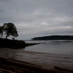 20130115_D7K_5837 (Saturna Island)