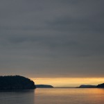 20130116_D7K_5843 (Saturna Island)