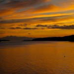 20130117_D7K_5871 (Saturna Island)