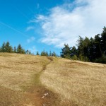 20130117_D7K_5902 (Saturna Island)