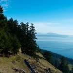 20130117_D7K_5907 (Saturna Island)