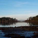20130117_D7K_5948 (Saturna Island)
