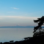20130117_D7K_5963 (Saturna Island)