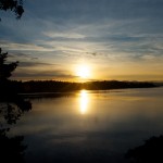 20130117_D7K_5972 (Saturna Island)