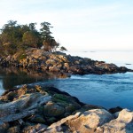 20130117_D7K_5977 (Saturna Island)