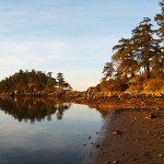 20130117_D7K_5983 (Saturna Island) 20130117_D7K_5983 (Saturna Island)