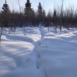 20130124_P1020236 (Flat Valley, SK)