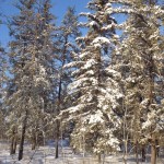 20130124_P1020237 (Flat Valley, SK)
