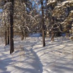 20130124_P1020238 (Flat Valley, SK)