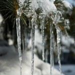 20130210_D7K_6053 (Snow Storm 1)