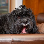 20130324_D7K_6378 (Happy Birthday Angela!)