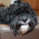 20130324_D7K_6382 – Version 2 (Happy Birthday Angela!)