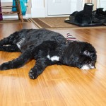 20130328_D7K_6401 (Spring Cut)