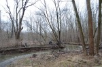 20130413-183942.jpg (Rattray Marsh Clean-up 2013)