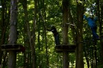 20130526_D7K_7219 (Treetop Trekking)