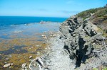 20130712_D7K_8999 (Day 3: Lobster Cove, Coastal Trail, and Shallow Bay)