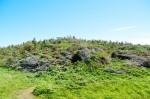 20130712_D7K_9009 (Day 3: Lobster Cove, Coastal Trail, and Shallow Bay)