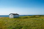 20130712_D7K_9041 (Day 3: Lobster Cove, Coastal Trail, and Shallow Bay)