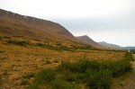 20130715_D7K_9288 (Day 6: Tablelands)