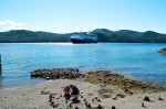 20130716_D7K_9468 (Day 7: Cruise Ship and Partridgeberry Hill)