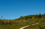 20130716_D7K_9482 (Day 7: Cruise Ship and Partridgeberry Hill)