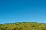20130716_D7K_9484 (Day 7: Cruise Ship and Partridgeberry Hill)