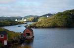 20130719_D7K_9703 (Day 10: Twillingate)