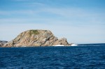 20130719_D7K_9783 (Day 10: Twillingate)