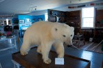 20130719_D7K_9826 (Day 10: Twillingate)