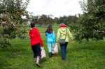 20130922_D7K_0673 (Apple Picking)