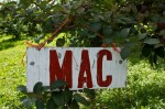 20130922_D7K_0676 (Apple Picking)