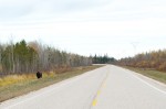 20131004_D7K_0956 (A Week in Wood Buffalo National Park)