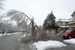 20131222_D7K_1162 (Ice Storm 2013)
