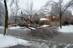 20131222_D7K_1165 (Ice Storm 2013)