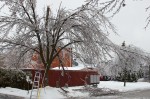 20131222_D7K_1183 (Ice Storm 2013 Clean-up)