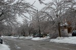 20131222_D7K_1185 (Ice Storm 2013 Clean-up)