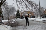 20131222_D7K_1214 (Ice Storm 2013 Clean-up)